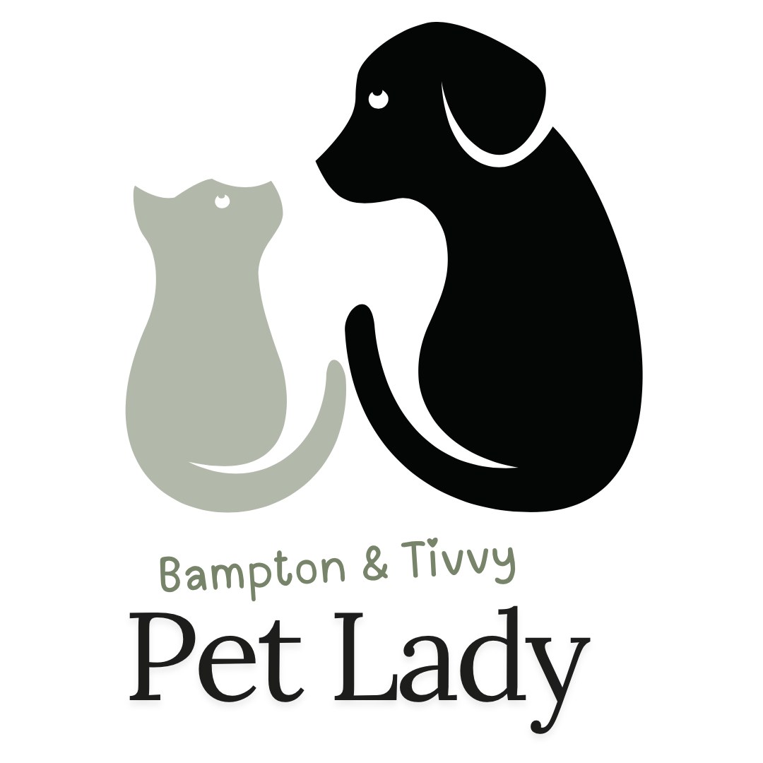 🐾 Bampton & Tiverton Pet Care 🐾