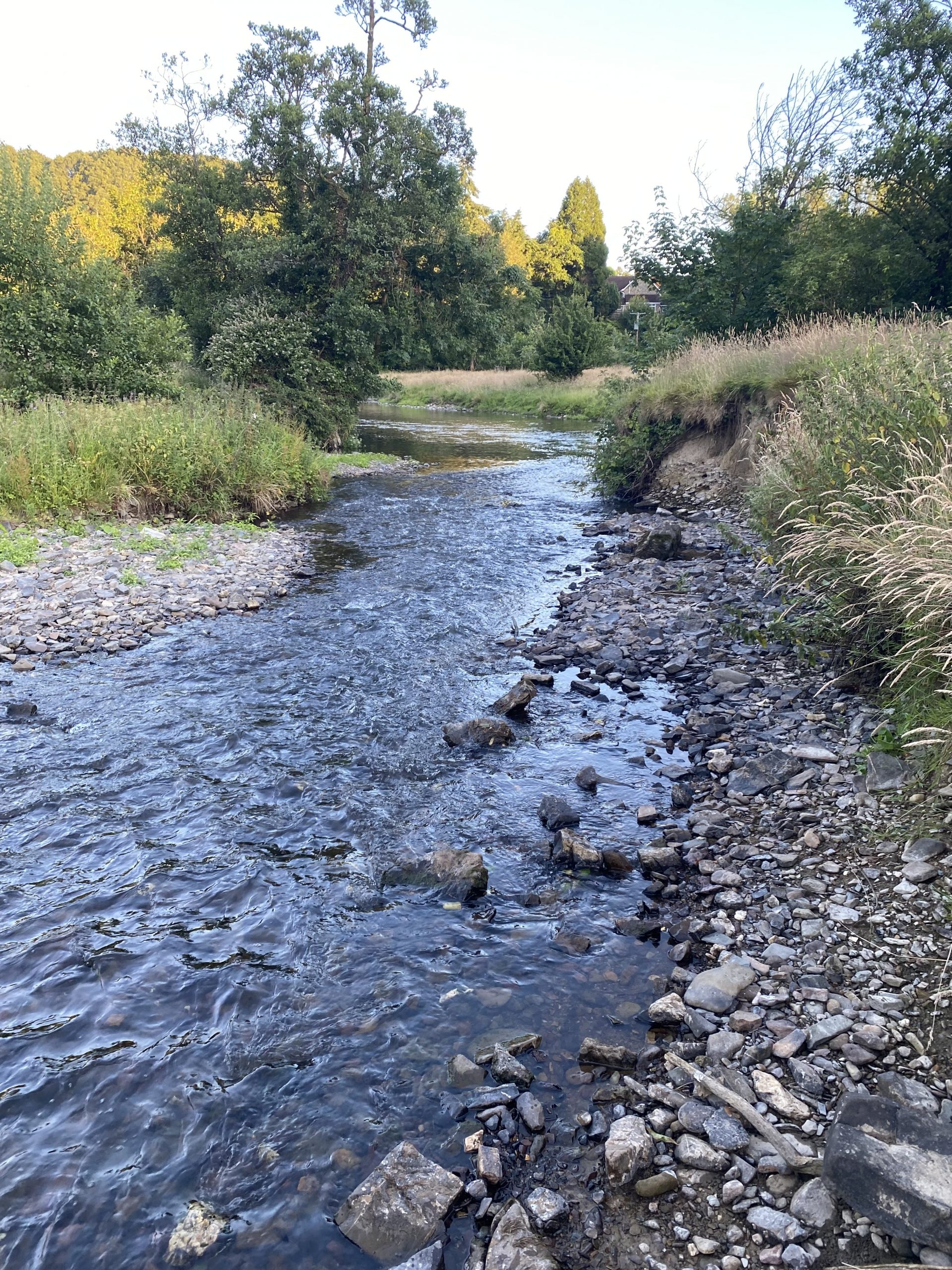 pretty image of river